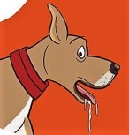 drooling dog